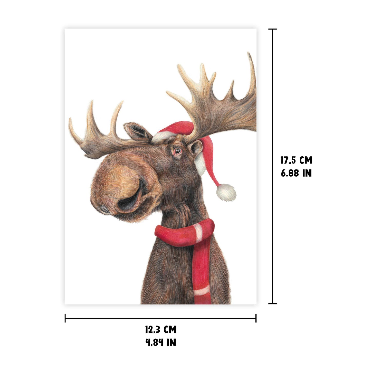 Funny moose Christmas card – an animal greeting for every occasion