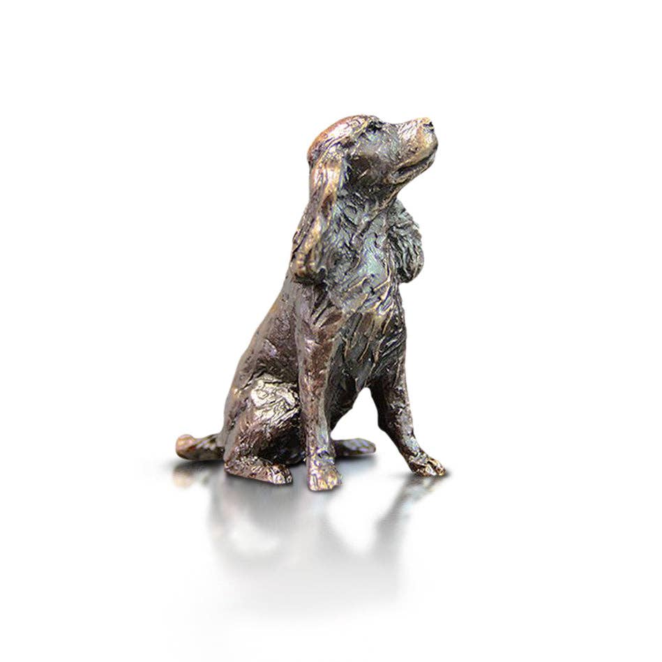 Butler & Peach Miniatur-Bronzespaniel