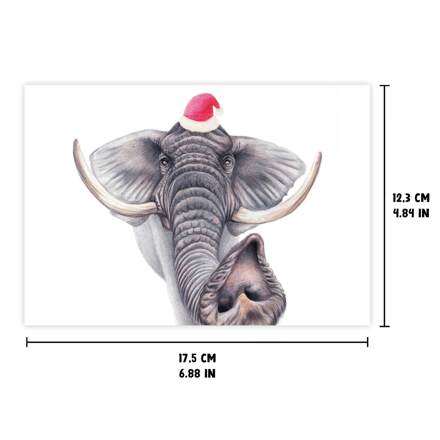 Funny Elephant Christmas Card – Animal Greeting Cards